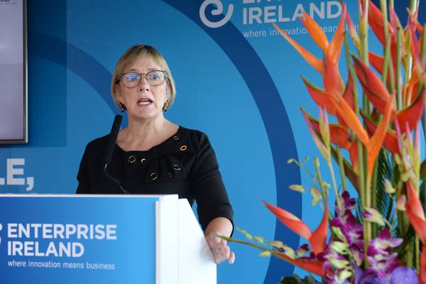 Enterprise Ireland goes where venture capital won't