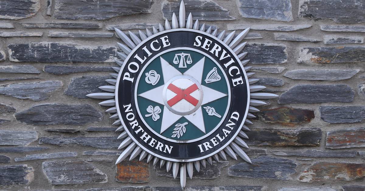 Двое ранены во время инцидента с ножевыми ранениями на матче GAA в графстве Тайрон – The Irish Times