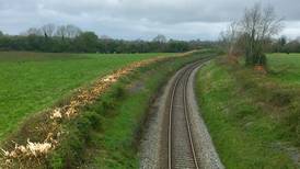 Irish Rail denies claims of ‘wanton hedgerow destruction’