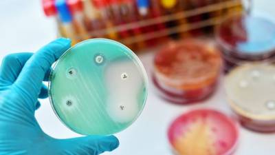 Antimicrobial resistance pandemic potentially looms in shadow of Covid