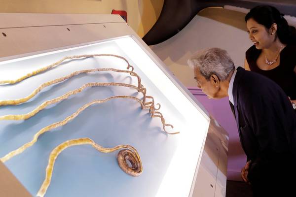 Man with world’s longest fingernails cuts them after 66 years