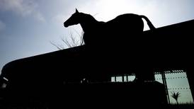 Racing looks for clarification on where it stands in Government reopening plans