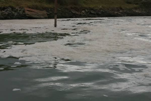 Untreated waste water released into Dublin Bay during storm