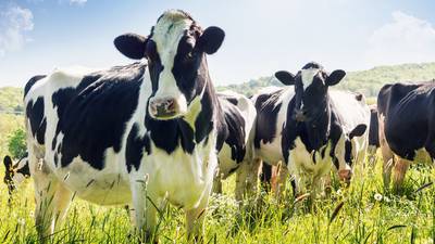 Project that aims to make 5,000 dairy farms climate neutral awarded €2 million