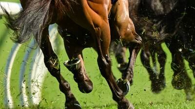 Racehorse trainers association silent after Chris Gordon defamation ruling upheld 