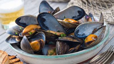 Supreme Court to rule on fishermen’s appeal over mussel stocks