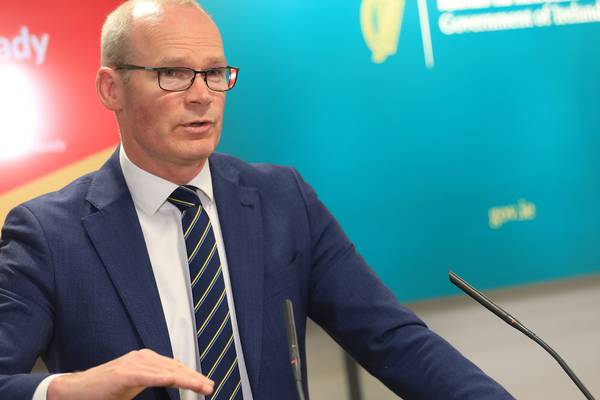 Ukraine war should be ‘catalyst’ for ‘honest rethink’ about Irish security - Coveney