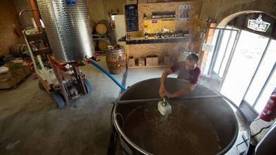 Studying beer a crafty plan as brewing degree launched