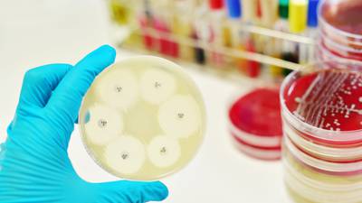 Harris to put in place new €20m plan to tackle hospital superbug