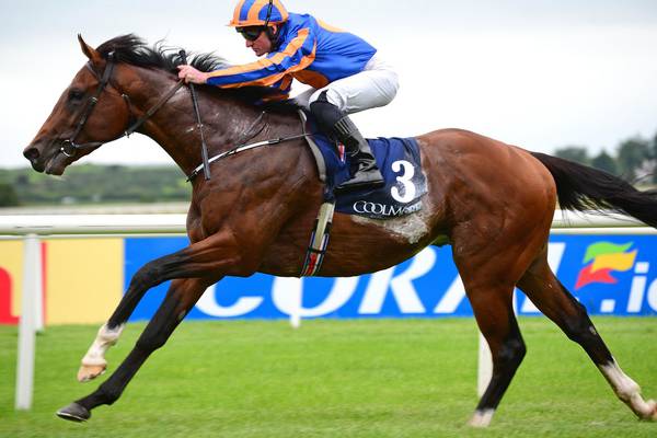 Churchill is Europe’s champion two-year-old for 2016