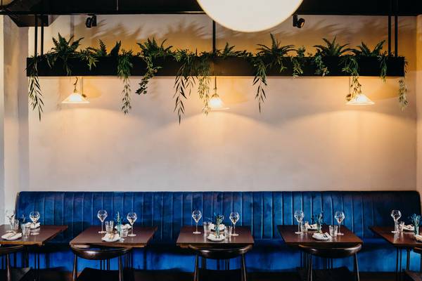 The Glass Curtain review: An unexpectedly mediocre meal at a new Cork restaurant