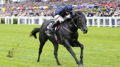 Caravaggio heads  long list of Dubai Dewhurst Stakes entries