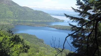 A walk for the weekend: Killarney National Park