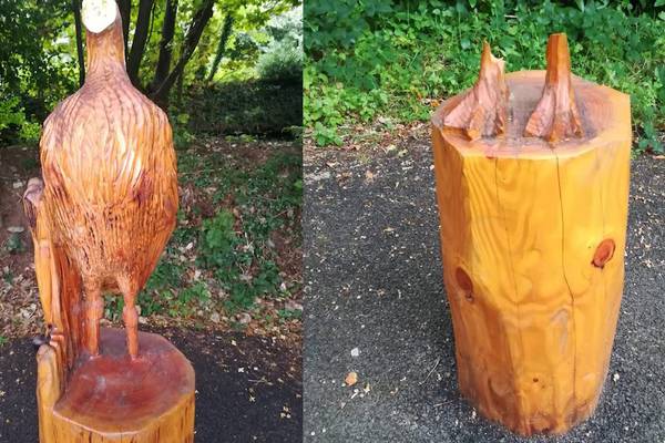 Vandals destroy wooden bird sculptures in Killarney National Park