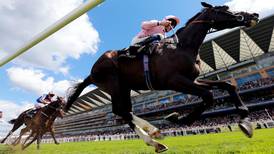 The Fugue leaves Treve in her wake  at Royal Ascot