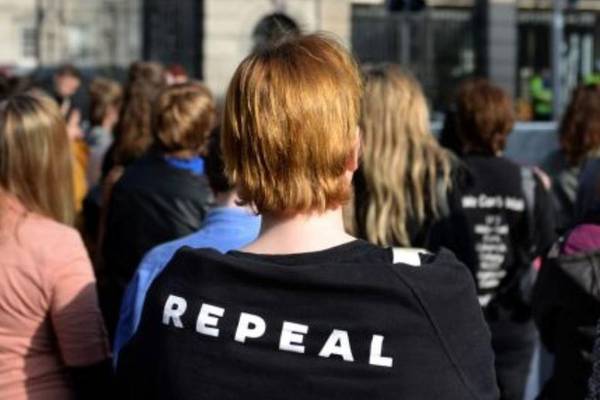 Abortion vote tracker: check how TDs and Senators plan to vote in referendum