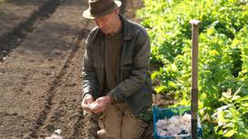 Plot to plate: Dermot Carey explains how he plants kitchen gardens for top restaurants