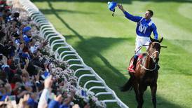 Winx the magnificent mare makes it 22 on the bounce