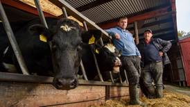 Culling herd numbers isn’t the only solution, there are other options, says Cork farmer