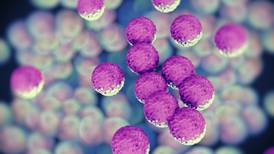 Potentially fatal superbug sparks 30% rise in cases 