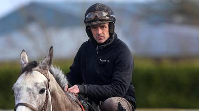 Willie Mullins and Ruby Walsh carry Irish punting hopes ahead of Cheltenham