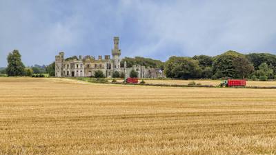 From new foals to fancy castles: Rediscovering Ireland this June