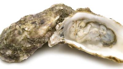 Concern over shellfish safety controls