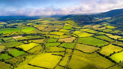 Alternative food strategy sets out how to cut agricultural emissions