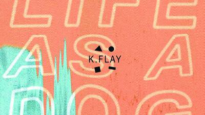 K Flay: Life as a Dog