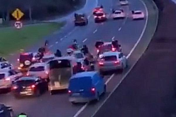 Gardaí investigating four-lane motorway sulky race