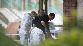 Partial skeletal remains found during ground works in Rathmines