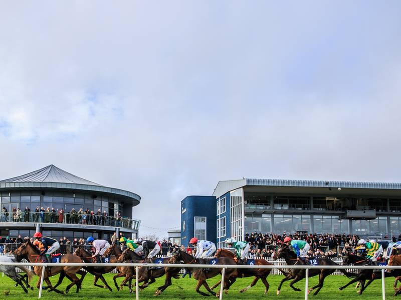 Bumper crowd expected as Naas offers free entry to ‘Trials’ card that does what it says on the tin