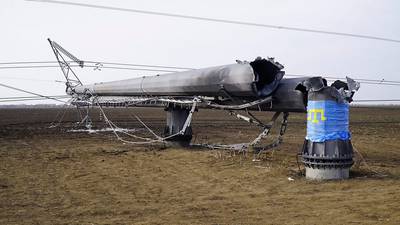 State of emergency in Crimea after electricity pylons ‘blown up’