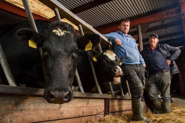 ‘This broad brush of culling the national herd is just too easy – there are other options’