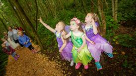 Fairy festival in Co Offaly works magic in aid of Barretstown