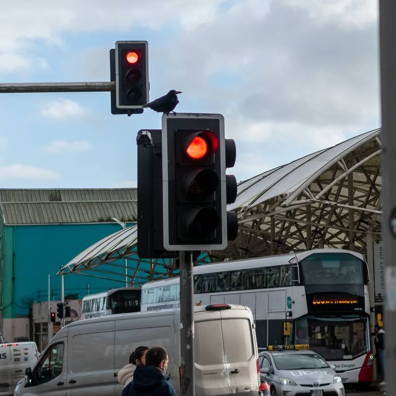 Traffic light cameras will be installed nationwide by next year, Eamon Ryan says