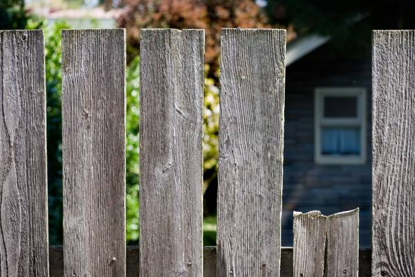 How can we get our neighbours to maintain their side of our shared fence?