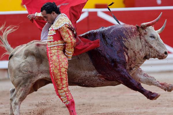 Furore over death of matador highlights bullfighting’s woes