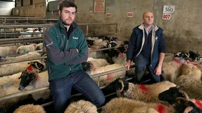 Some good news for rural farmers in ‘election budget’