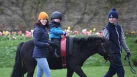 Hannah Morgan, horse therapeutic coach: ‘It's all about empowering people’