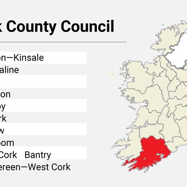 Local Elections: Cork County Council