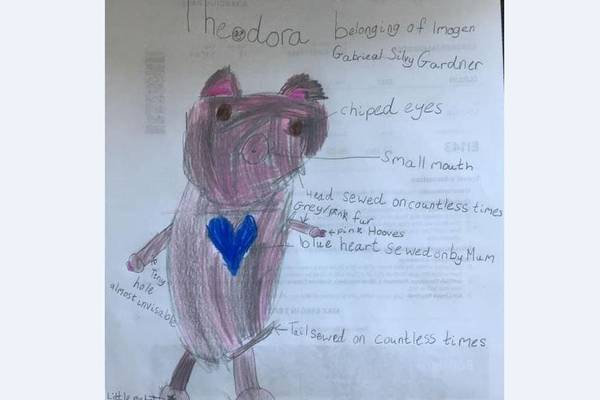 Girl (9) seeking ‘utterly irreplaceable’ pig teddy lost at Dublin Airport