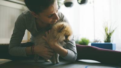 Yoga with dogs? Yes it is barking mad