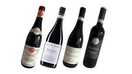 Here’s to the house red: four fine examples of Montepulciano d’Abruzzo