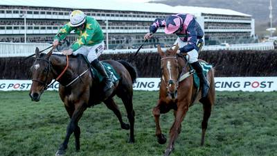 Declan Lavery has 10-day ban picked up at Cheltenham quashed