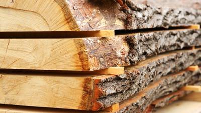 Coillte wood supplies set to dry up next year