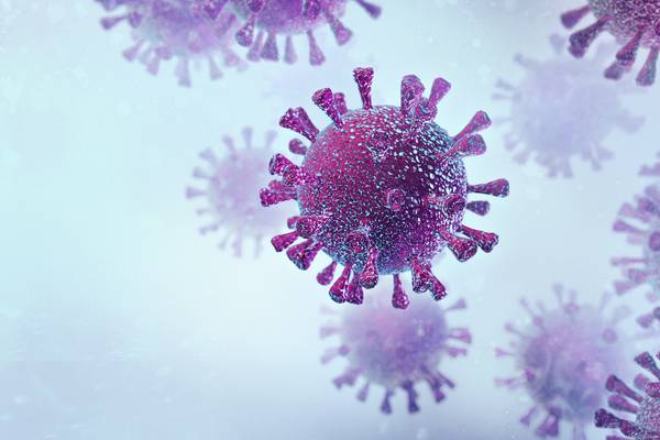 Coronavirus: 448 new cases reported in the State