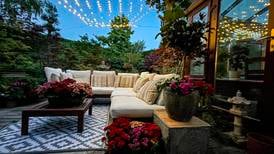Tone it down: Why too much artificial lighting is bad for your garden