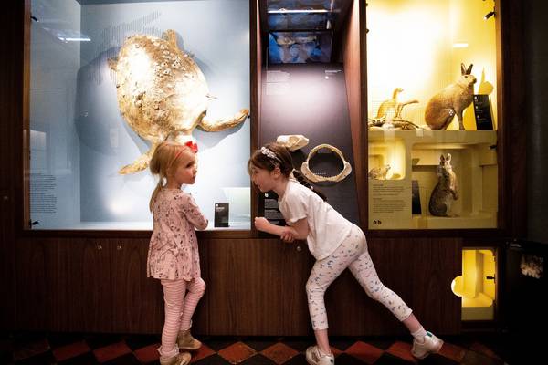 Cabinet of Curiosities: what new wonders await at the Dead Zoo?