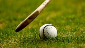 Naomh Eanna make history in Wexford